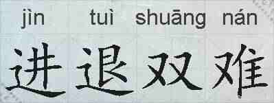 进退双难的拼音