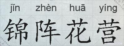 锦阵花营的拼音
