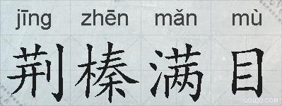 荆榛满目的拼音