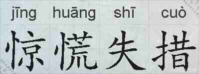 惊慌失措的拼音