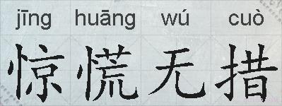 惊慌无措的拼音