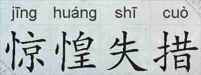 惊惶失措的拼音