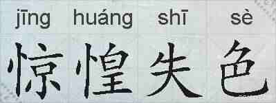 惊惶失色的拼音