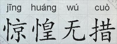 惊惶无措的拼音