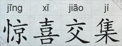 惊喜交集的拼音