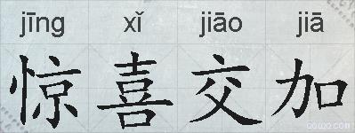 惊喜交加的拼音