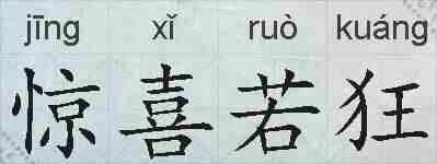 惊喜若狂的拼音
