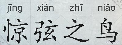 惊弦之鸟的拼音