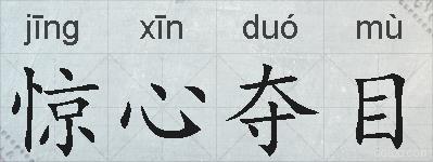 惊心夺目的拼音