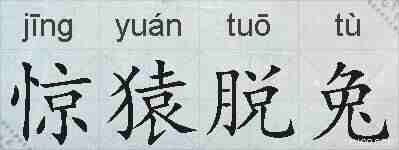 惊猿脱兔的拼音