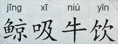 鲸吸牛饮的拼音