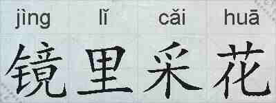 镜里采花的拼音