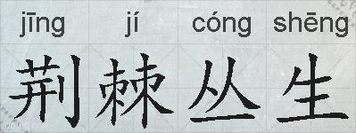 荆棘丛生的拼音