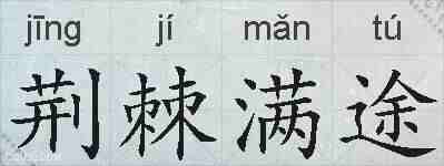 荆棘满途的拼音