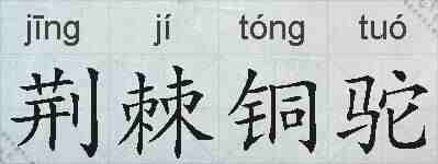 荆棘铜驼的拼音