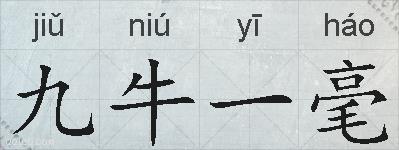 九牛一毫的拼音