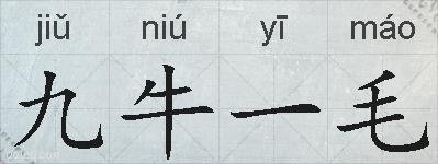九牛一毛的拼音