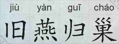 旧燕归巢的拼音