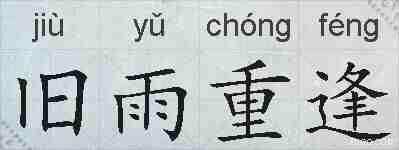 旧雨重逢的拼音