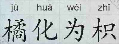 橘化为枳的拼音