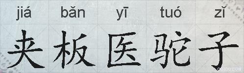 夹板医驼子的拼音