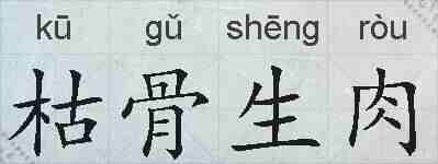 枯骨生肉的拼音