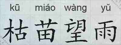 枯苗望雨的拼音