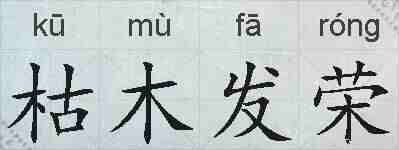 枯木发荣的拼音