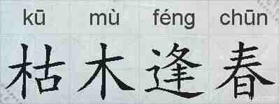 枯木逢春的拼音
