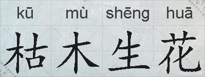 枯木生花的拼音