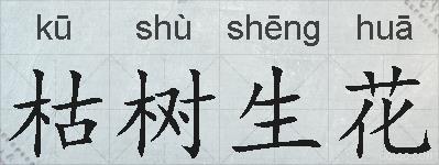 枯树生花的拼音
