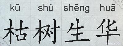 枯树生华的拼音