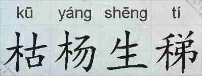 枯杨生稊的拼音