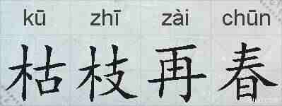 枯枝再春的拼音