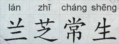 兰芝常生的拼音