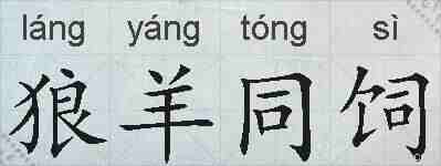狼羊同饲的拼音