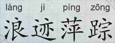 浪迹萍踪的拼音