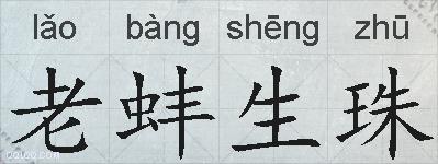 老蚌生珠的拼音