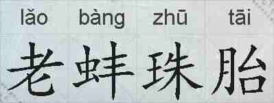 老蚌珠胎的拼音