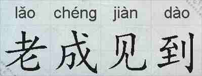 老成见到的拼音