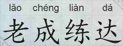 老成练达的拼音