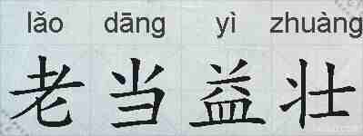 老当益壮的拼音