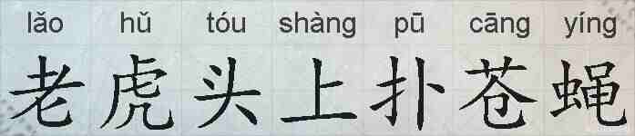 老虎头上扑苍蝇的拼音