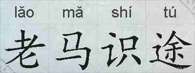 老马识途的拼音