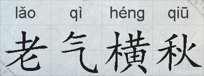 老气横秋的拼音