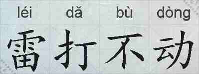 雷打不动的拼音
