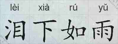 泪下如雨的拼音