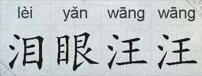 泪眼汪汪的拼音