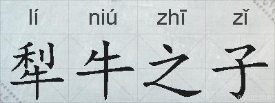 犁牛之子的拼音