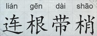 连根带梢的拼音
